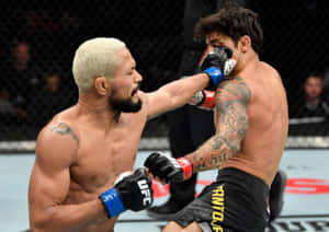 Deiveson Figueiredo Punching Alexandre Pantoja Wallpaper