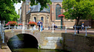 Delft Canal Bridge Summer Scene Wallpaper