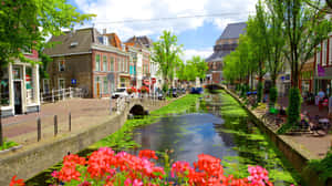 Delft Canal View Summer Day Wallpaper