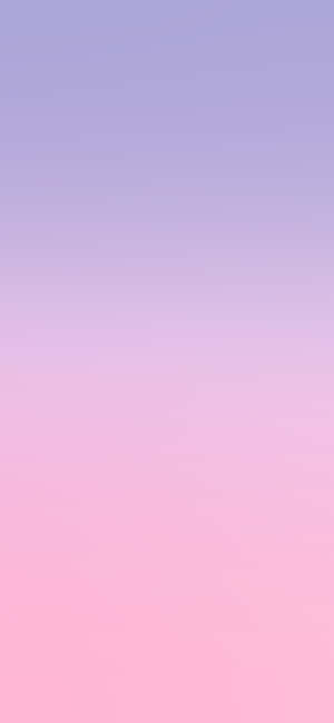 Delicate And Lovely Purple Blush Wallpaper