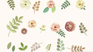 Delicate Flowers For A Dreamy Aesthetic Wallpaper
