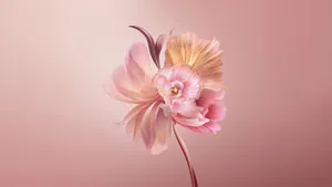 Delicate Pastel Spring Flower Wallpaper