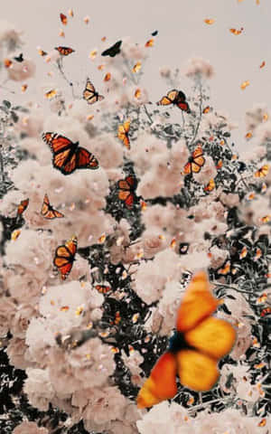 Delicate Spring Butterflies On Vibrant Blooms Wallpaper