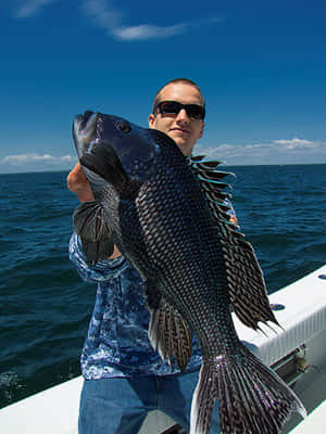 Delicious Black Sea Bass On A Plate Wallpaper