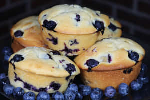 Delicious Blueberry Muffins Fresh Out Of The Oven Wallpaper