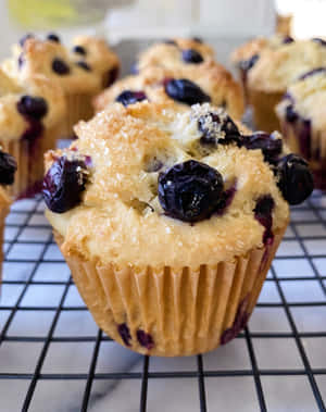 Delicious Blueberry Muffins To Brighten Up Your Day! Wallpaper