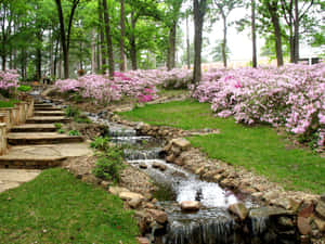 Delightful Spring Garden Wallpaper