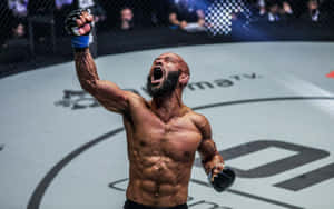 Demetrious Johnson Mma Fighter Poster Wallpaper