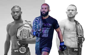 Demetrious Johnson Petr Yan And Aljamain Sterling Wallpaper