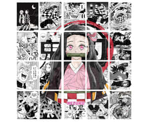 Demon Slayer Nezuko Manga Collage Wallpaper