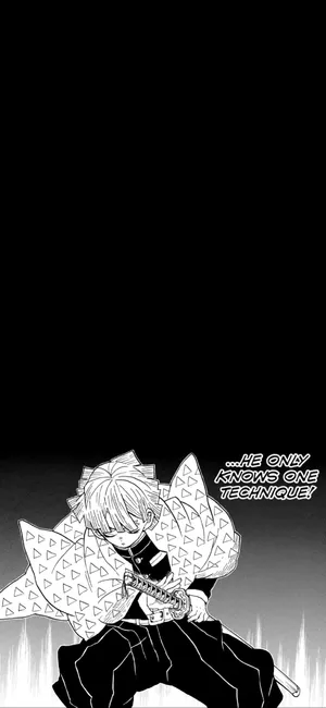 Demon Slayer Single Technique Panel Wallpaper