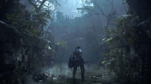 Demon Souls Dark Castle Entrance Wallpaper