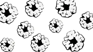 Denim Tears Cotton Pattern Wallpaper