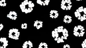 Denim Tears Floral Pattern Wallpaper