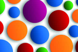 Dense Evergreen Forest In Israel Wallpaper