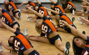 Denver Broncos Cheerleaders Wallpaper