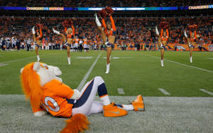 Denver Broncos Mascot Wallpaper