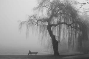 Depressed Man In Foggy Park Wallpaper