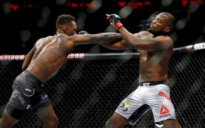 Derek Brunson Jab Wallpaper