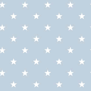 Description- A Beautiful Night Sky Lit Up With A Blanket Of Twinkling Blue Stars Wallpaper