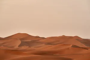 Desert Beige Aesthetic Desktop Wallpaper