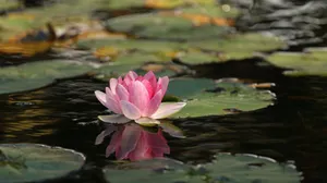 Desert Landscape - Majestic View Of Red Rocks And Clouds. Wallpaper