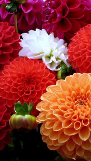 Desert Landscape Wallpaper