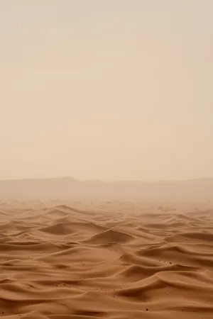 Desert Sand Dense Fog Wallpaper