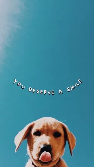 Deserve A Smile Puppy Sky Backdrop Wallpaper