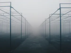 Desolate Plantation Factory Wallpaper