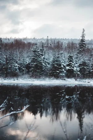 Desolate Stagnant Water Lake Wallpaper