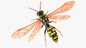 Detailed Yellowjacket Illustration Wallpaper