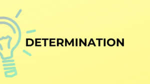 Determination Inspiration Lightbulb Wallpaper