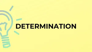 Determination Inspiration Lightbulb Wallpaper
