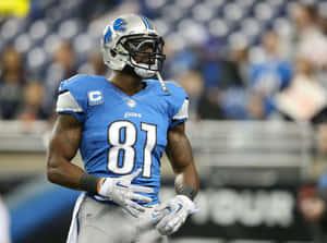 Detroit Lions Player Number81 Wallpaper