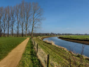 Deventer Rural River Path Wallpaper