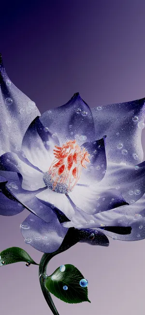 Dew Kissed Floral Beautyi Phone Wallpaper Wallpaper