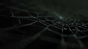 Dewy Spider Web Nighttime Wallpaper