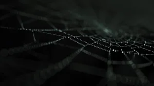 Dewy Spider Web Nighttime Wallpaper