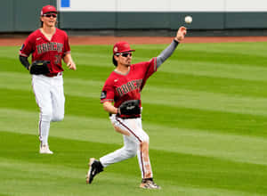 Diamondbacks Players In Action Wallpaper