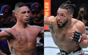 Diego Sanchez And Kevin Lee Fighter Wallpaper