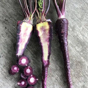 Dig Into Deliciousness With Purple Carrots Wallpaper