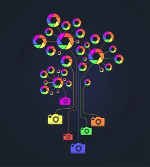 Digital Cameras Simple Phone Wallpaper