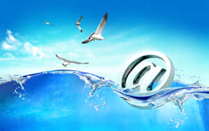 Digital Communication Ocean Waves Seagulls Wallpaper