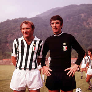 Dino Zoff And José Altafini Wallpaper