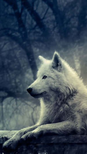 Dire Wolf Prowling In The Forest Wallpaper