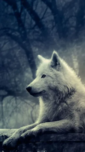 Dire Wolf Prowling In The Forest Wallpaper