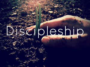 Discipleship Growth Concept Wallpaper