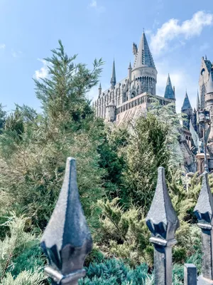 Discover A Magical World Of Adventure. Wallpaper