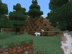 Discover A New World In Minecraft Pocket Edition! Wallpaper